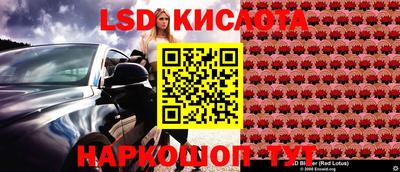 a pvp Краснокаменск